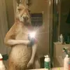 Johan Guzman504 - @johanguzman504 - TikTok