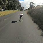 Johan Guzman - @johanguzman4725 - Instagram