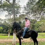 Johan Sebastian Hernandez - @johanhernandez6079 - Instagram