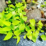 𝓙𝓸𝓱𝓪𝓷 𝓳𝓸𝓼𝓮𝓹𝓱 - @__johan__joseph__ - Instagram