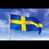 Johan Lundgren - @johanlundgren41 - TikTok