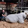 Johan Madriz - @johan.madriz - TikTok