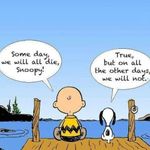 Johan Opperman - @onejo2many - Instagram