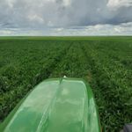 Johan Harms - @johan.reimer.71 - Instagram