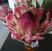 Johan Terblanche - Facebook