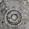 Johan Westerberg645 - @johanwesterberg75 - TikTok