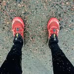 Johan Westerberg - @westerb22 - Instagram