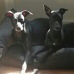 Johan Westerberg - @johan_w78 - Instagram
