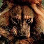 Johann Botha - @c.johann2 - Instagram