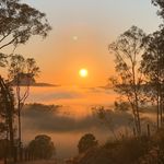 Johanna Downs - @johanna.downs.farm - Instagram