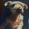 Johanna Mitchell - @johanna.mitchell6 - TikTok