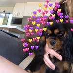 @johannamitchell - Instagram