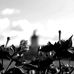 Johanna Ring Photography - Facebook