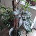 Johanna Stein - Facebook