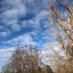 John Aaronson - @johnaaronson612 - Instagram
