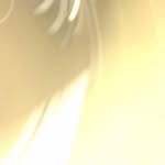 John Aas - @john.aas.31 - Instagram
