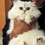 John - @john_aashish7 - Instagram