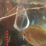John Able - @able.john - Instagram