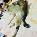John Able - @able5793 - Instagram