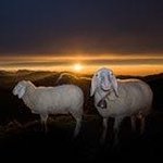 Ji - @johnabood16 - Instagram