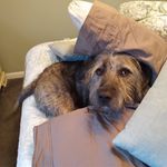 John Aceto - @aceto204 - Instagram
