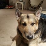 John Aceto - @john.aceto - Instagram