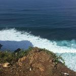 John Aceto  - @aceto.j - Instagram