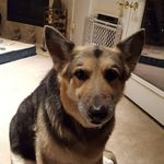 john.aceto - @johnaceto153 - Instagram