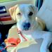 JOHN Acheson - Facebook