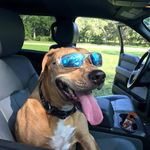 John Ackerman - @john_ackerman21 - Instagram