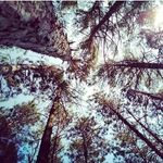 John Ackerman - @johnackerman - Instagram
