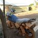 Jabaru John Adams - Facebook