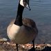John T Adkinson Park - Facebook