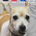 John Adkisson - Facebook