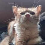 John Agagas - @john_leeagaagas - Instagram