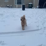 John Agee - @john.m.agee - Instagram