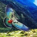 John Ager - @j.ager - Instagram