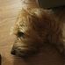 John Ahern - Facebook