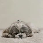 John Ahn - @ahn.john - Instagram