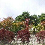 John Ahn - @johnahn233 - Instagram