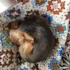 johnahn7 - @johnahn7 - TikTok