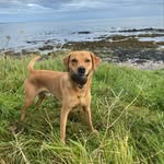 John Aitchison - @pinewood2 - Instagram