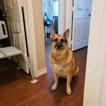 John Alamo - @alamo7698 - Instagram
