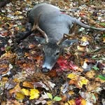John alamorian - @johnalamorian - Instagram