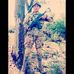 Jhon Mario Alanis - Facebook