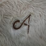 John Albert Colglazier Jr - @johncolglazierjr - Instagram