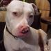 John Attinger - Facebook