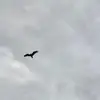 Allan Johnson - @allan.johnson51 - TikTok