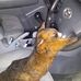 John Allender - Facebook