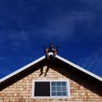 John Allender - @john.allender.545 - Instagram